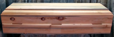 Blue Pine wood casket helps save the forest.
